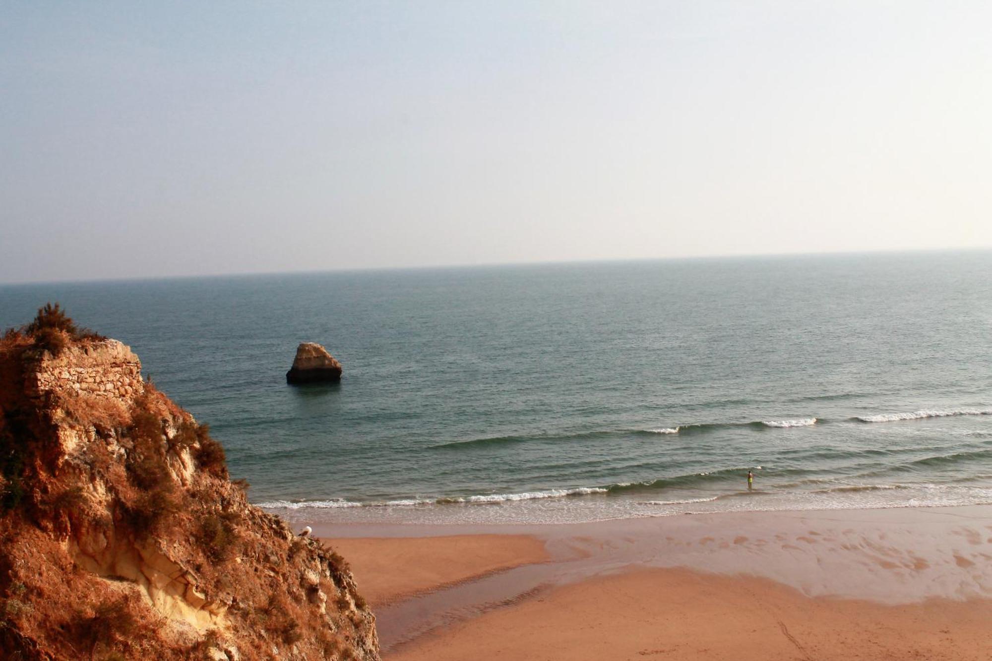 Praia Da Rocha, Vila Rosa, T1, Piscinas, Parqueamento E Internet By Ig Portimão Buitenkant foto
